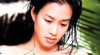 钟氏明星,璀璨星河中的璀璨明珠